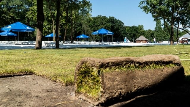 fala plaża piaszczysta małe (8)