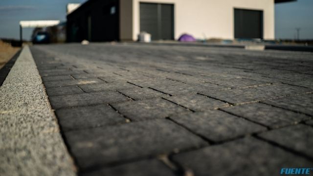 niesięcin małe (1)