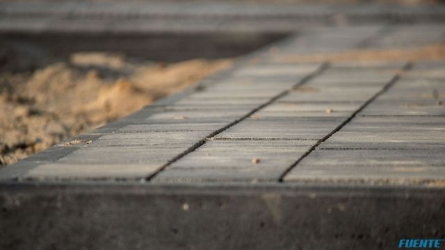 niesięcin małe (2)