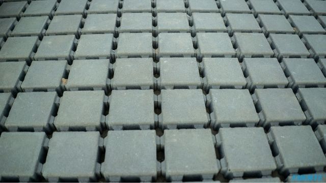 niesięcin małe (3)