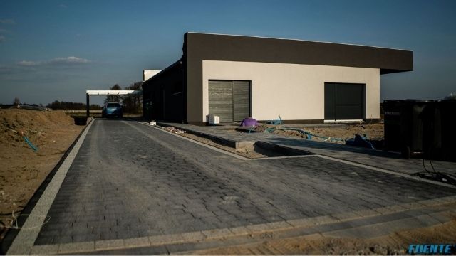 niesięcin małe (4)