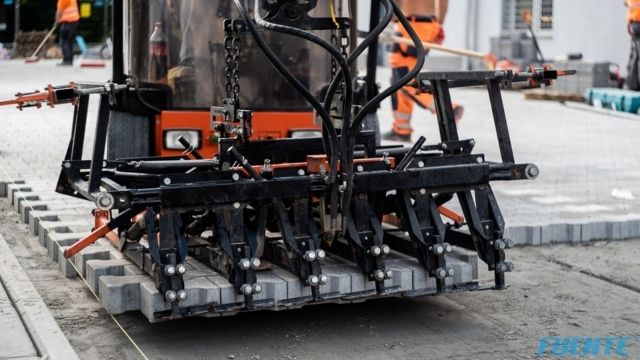 retkinska małe (11)