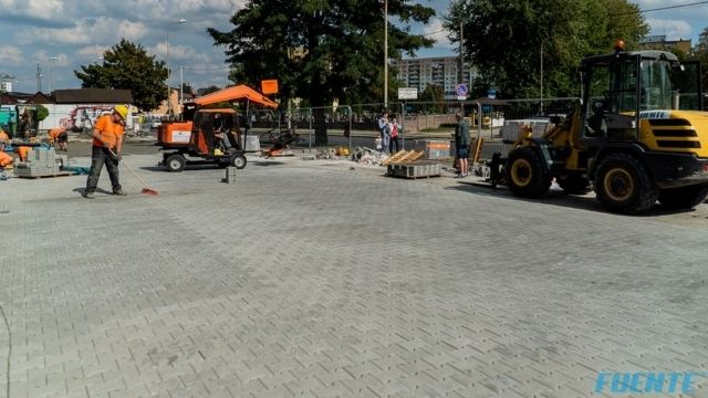 retkinska małe (16)