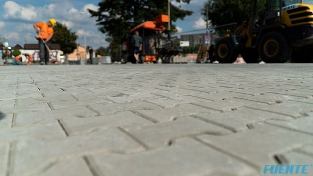 retkinska małe (18)