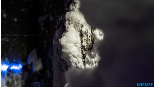 sauny, teżnia małe (11)