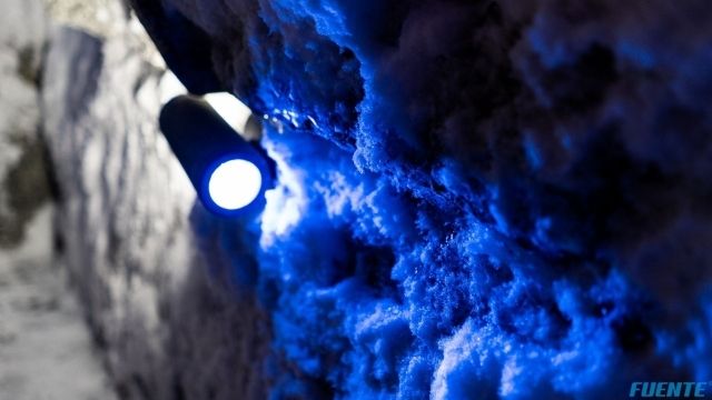 sauny, teżnia małe (12)