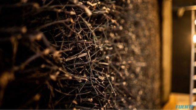 sauny, teżnia małe (23)