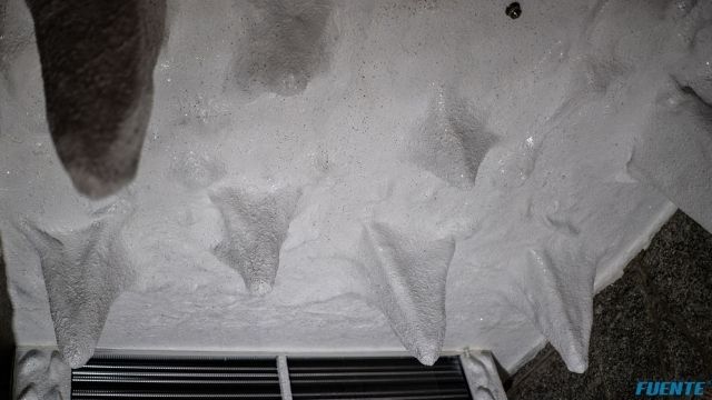 sauny, teżnia małe (4)