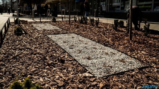 tatrzanska małe (1)