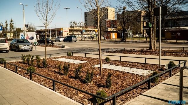 tatrzanska małe (9)